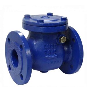 Nonreturn Valve